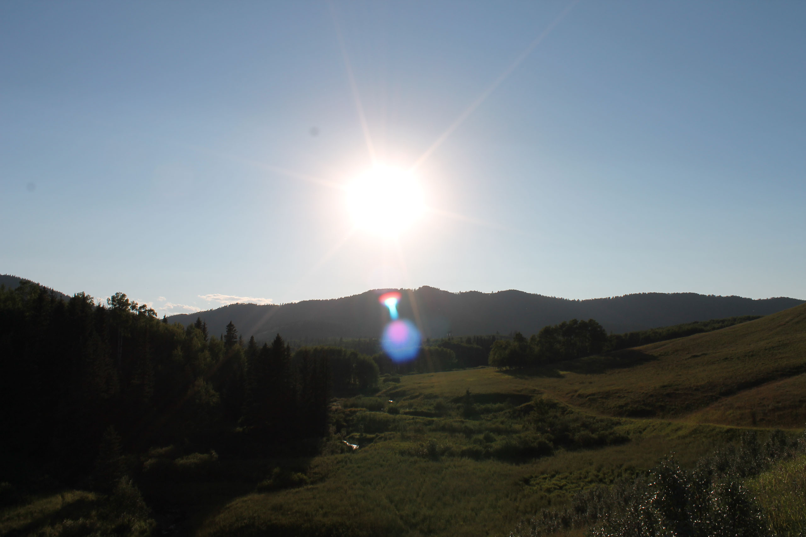 Quill Ranch | Ranch Roping | Alberta, Canada